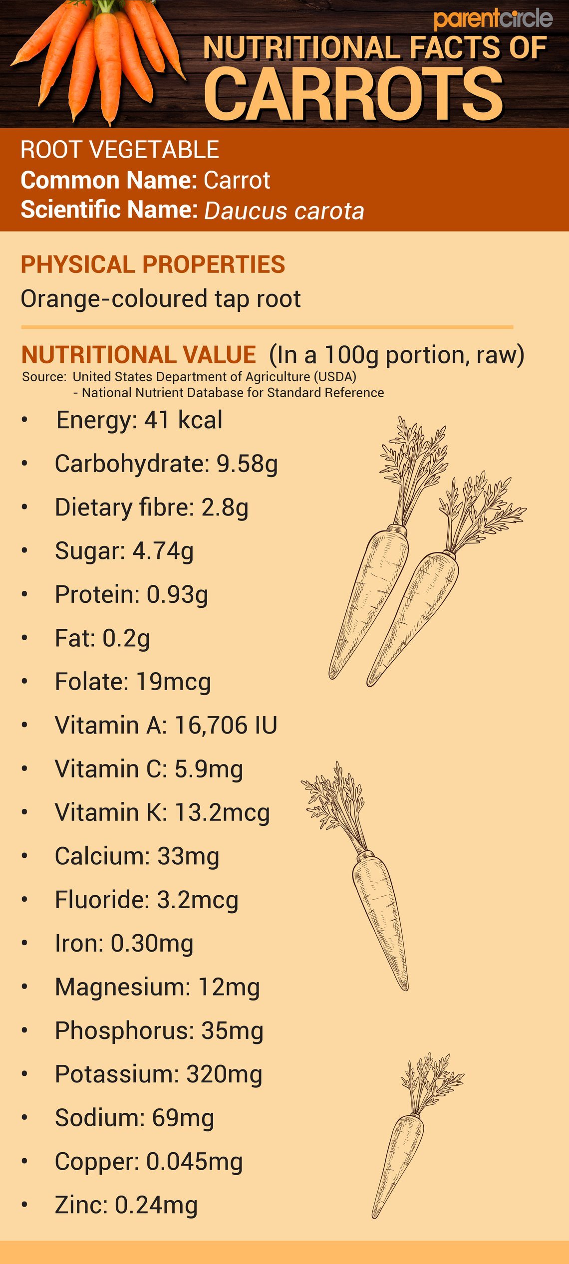 Carrot Nutritional Value per 100g, Carrot Nutrition Facts & Health