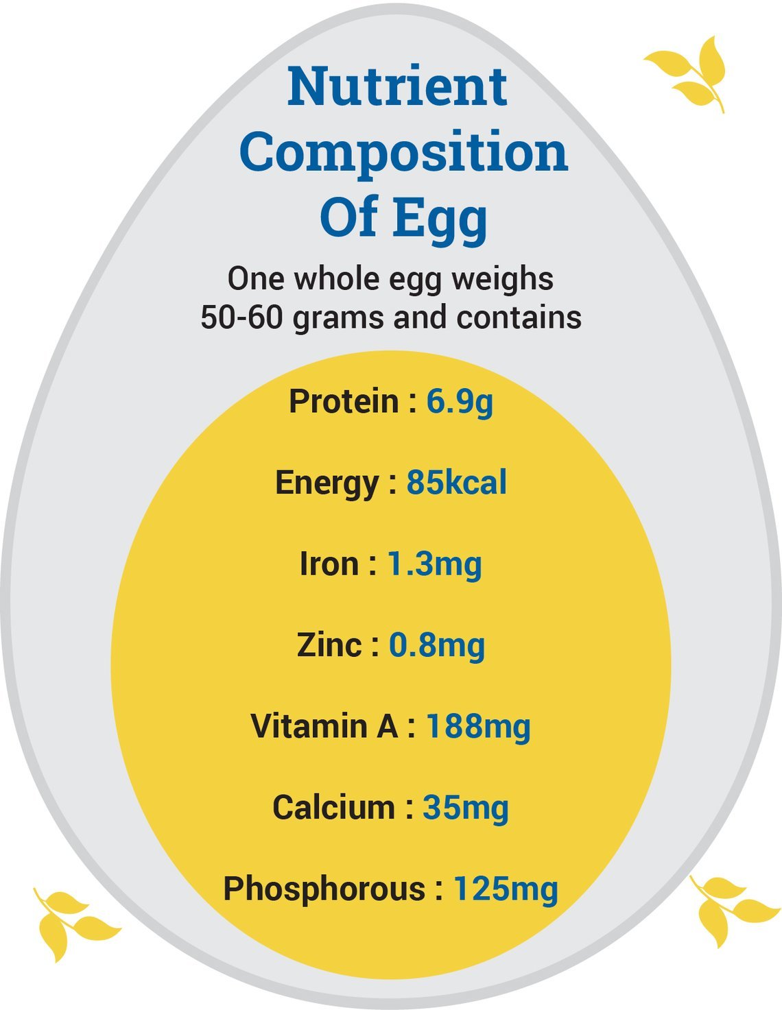 Egg nutrition Importance and benefits of child health development, Egg