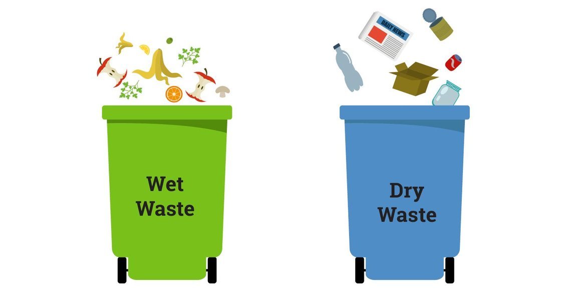 8 ecofriendly activities to do this Environment Day, Activities for