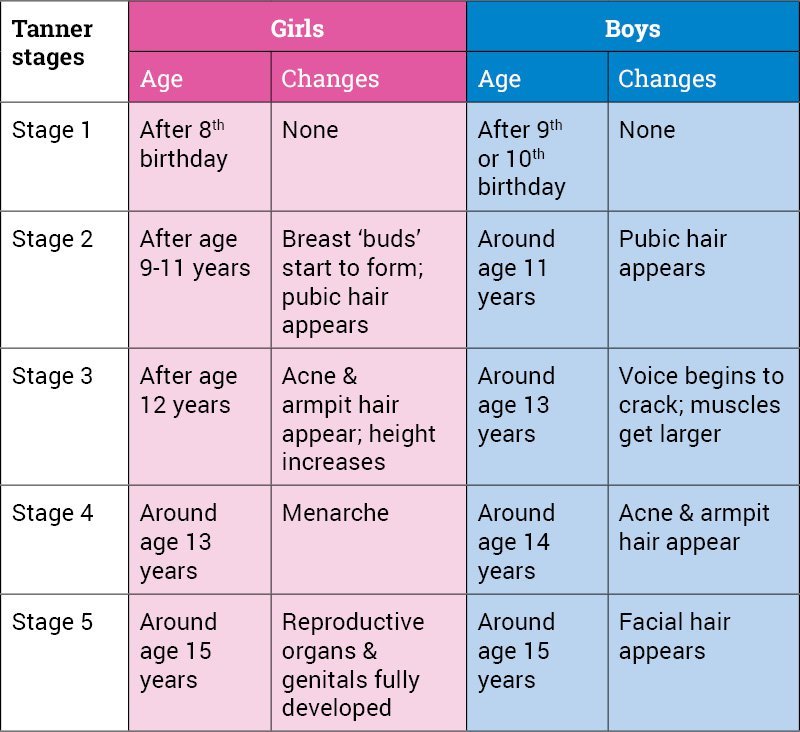 Physical Development in PreAdolescence What parents need to know