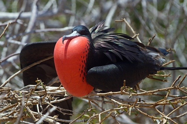15 Life Lessons Your Child Can Learn From Birds 15 Life Lessons Your Child Can Learn From Birds
