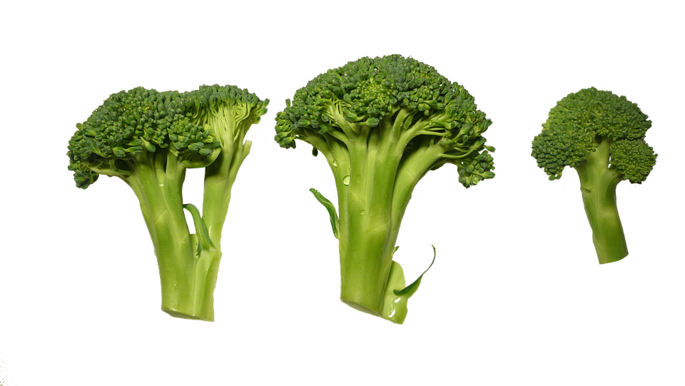 Top 10 Superfoods For Good Health Top 10 Superfoods For Good Health