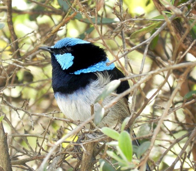 15 Life Lessons Your Child Can Learn From Birds 15 Life Lessons Your Child Can Learn From Birds