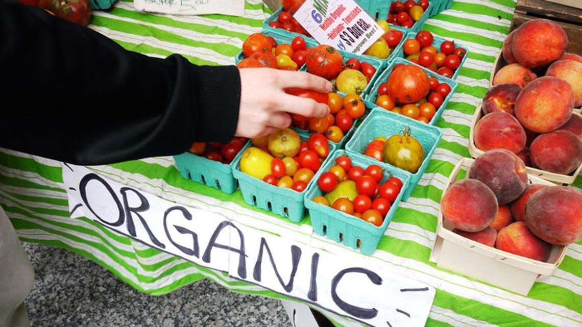 Reasons Why Organic Food Is Good For Your Child Reasons Why Organic Food Is Good For Your Child