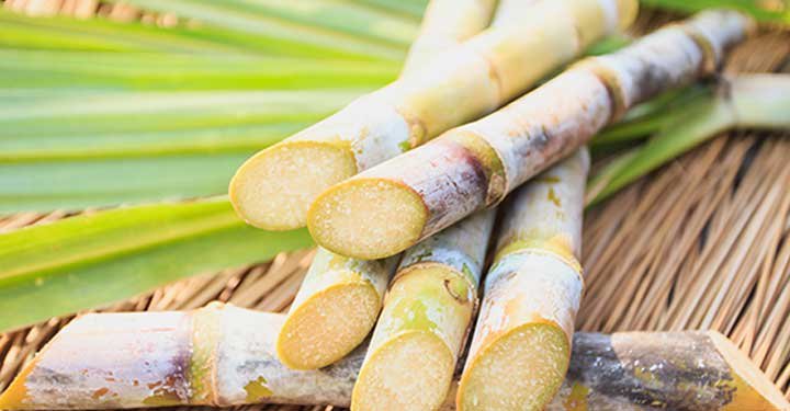 Pongal: Then And Now Pongal: Then And Now