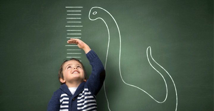 All Your Child Needs To Know About International Standards All Your Child Needs To Know About International Standards