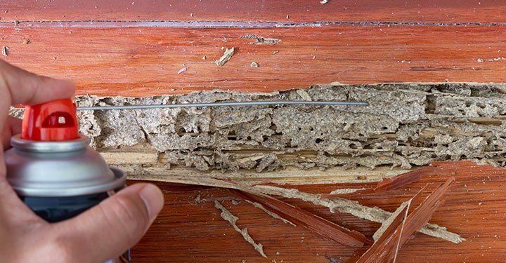 Termites Prevention Tips, Pre Construction Termite Treatment