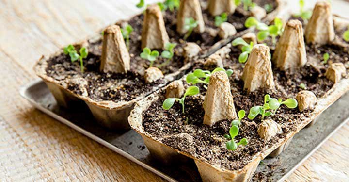 9 Fun Gardening Ideas For Kids 9 Fun Gardening Ideas For Kids