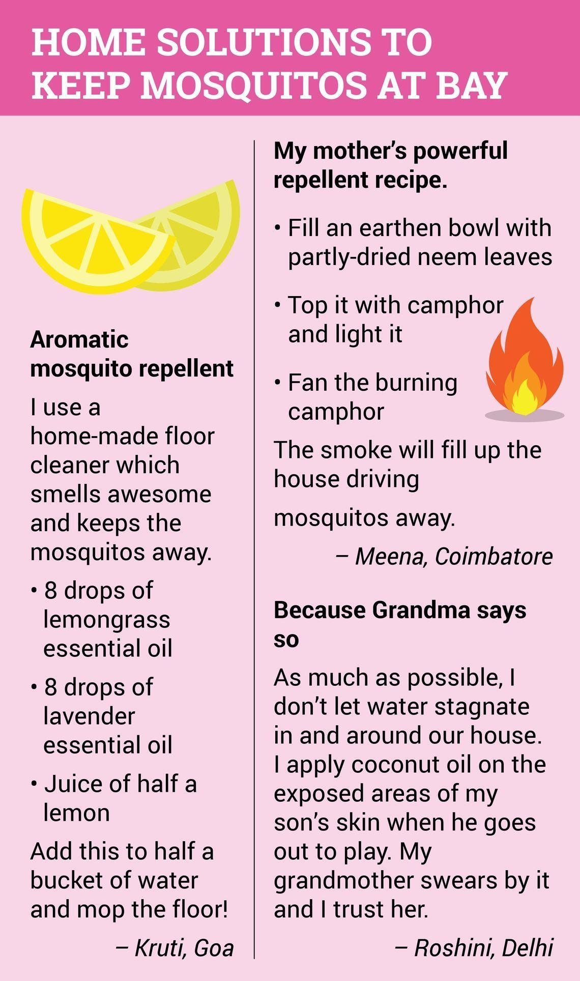 Know Mosquito, No Malaria Know Mosquito, No Malaria