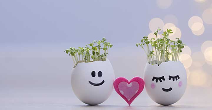 9 Fun Gardening Ideas For Kids 9 Fun Gardening Ideas For Kids
