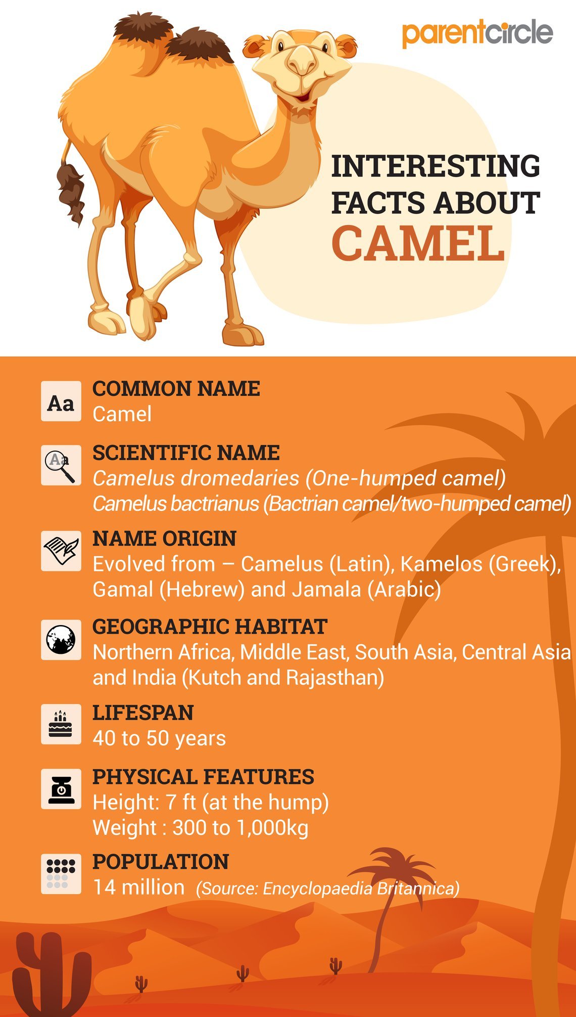 Interesting And Fun Facts About Camels For Kids - Parentcircle