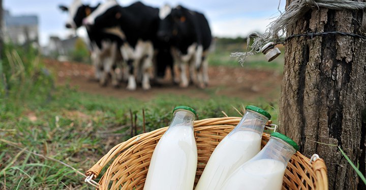 Milk For Children – Types And Benefits Milk For Children – Types And Benefits