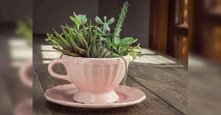 9 Fun Gardening Ideas For Kids 9 Fun Gardening Ideas For Kids