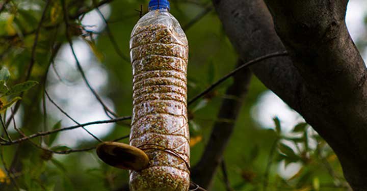 9 Fun Gardening Ideas For Kids 9 Fun Gardening Ideas For Kids