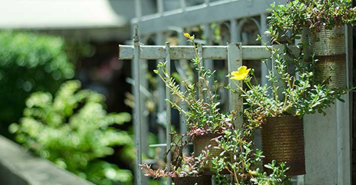 9 Fun Gardening Ideas For Kids 9 Fun Gardening Ideas For Kids
