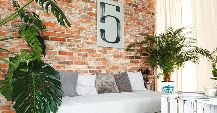 10 Best Air Purifying Indoor Plants For Your Home 10 Best Air Purifying Indoor Plants For Your Home