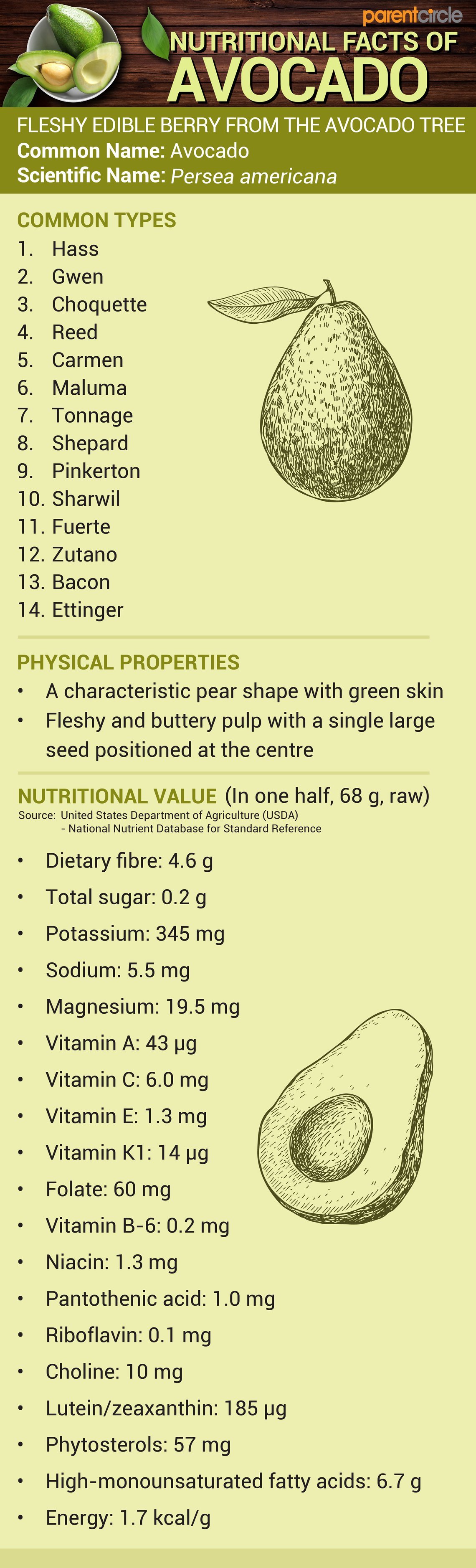 10 Benefits Of Avocado You Should Know! Avocado Health, 40 OFF