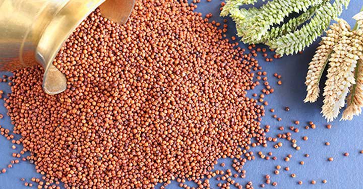 Ragi Nutritional Value And Health Benefits, Ragi Recipes Ragi Nutritional Value And Health Benefits, Ragi Recipes