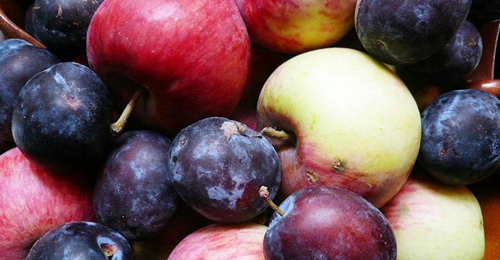 Foods For Child’s Brain Development – Improve Memory Power And Concentration Foods For Child’s Brain Development – Improve Memory Power And Concentration
