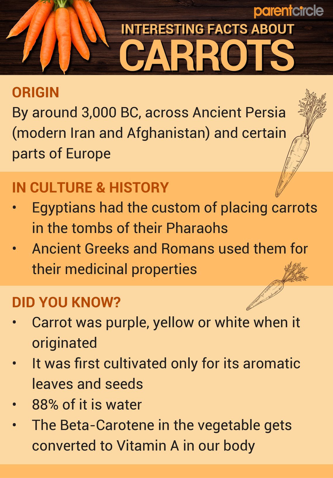 Carrot Nutritional Value per 100g, Carrot Nutrition Facts & Health