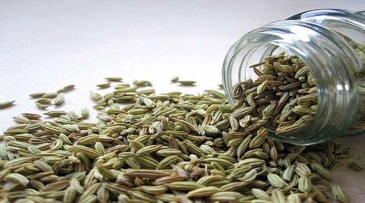 Fennel Seeds: 6 Health Benefits For Babies Fennel Seeds: 6 Health Benefits For Babies