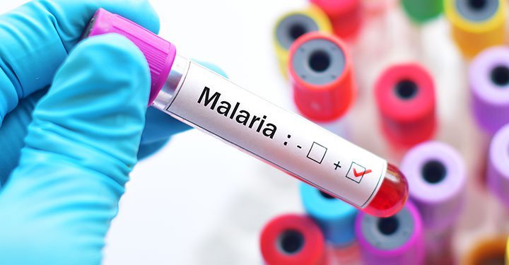 Know Mosquito, No Malaria Know Mosquito, No Malaria