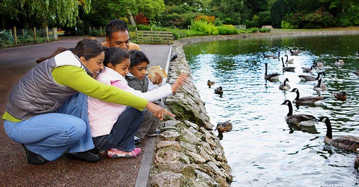 15 Life Lessons Your Child Can Learn From Birds 15 Life Lessons Your Child Can Learn From Birds