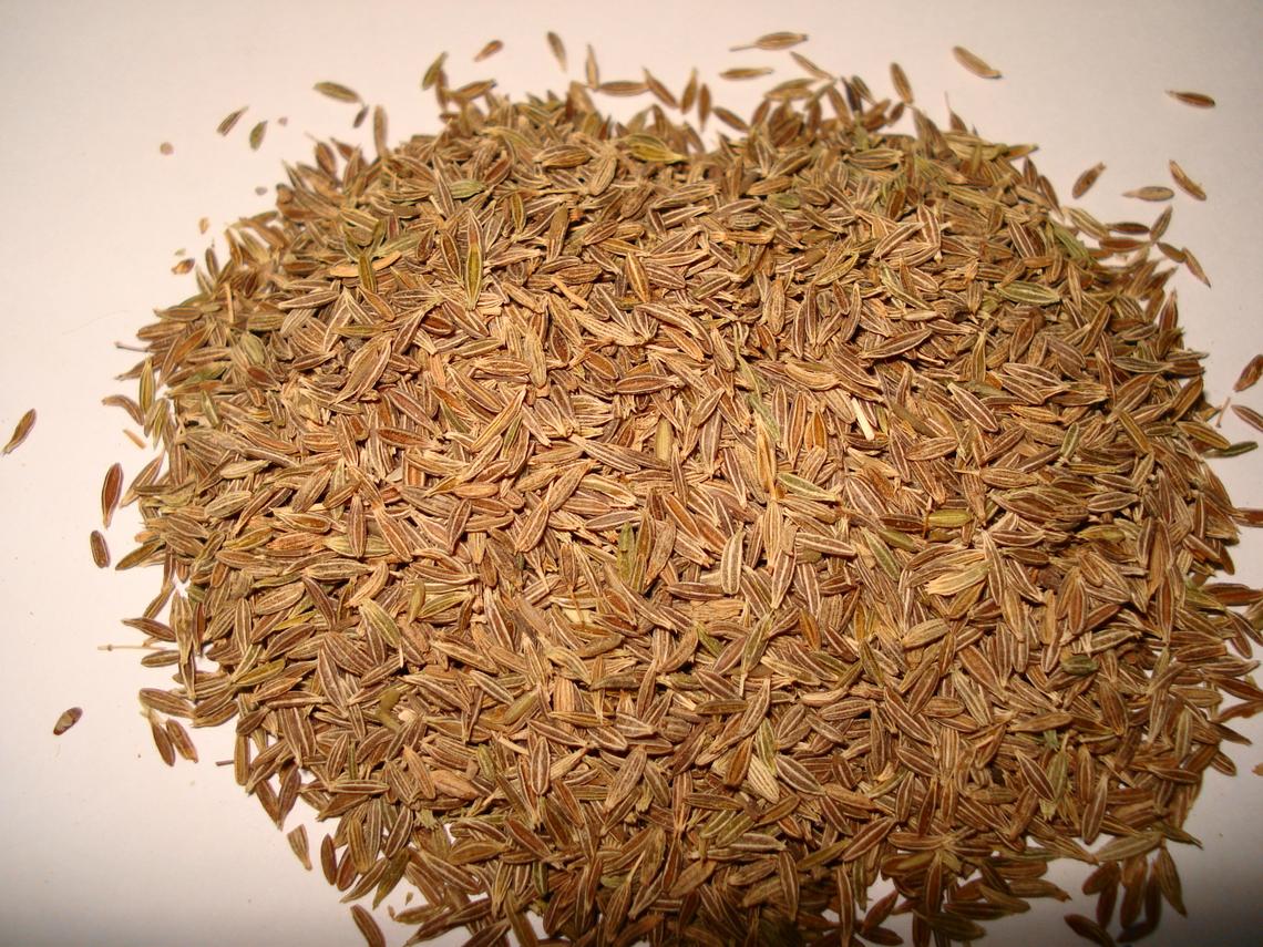 Are Cumin Seeds Good To Combat Diseases? Are Cumin Seeds Good To Combat Diseases?