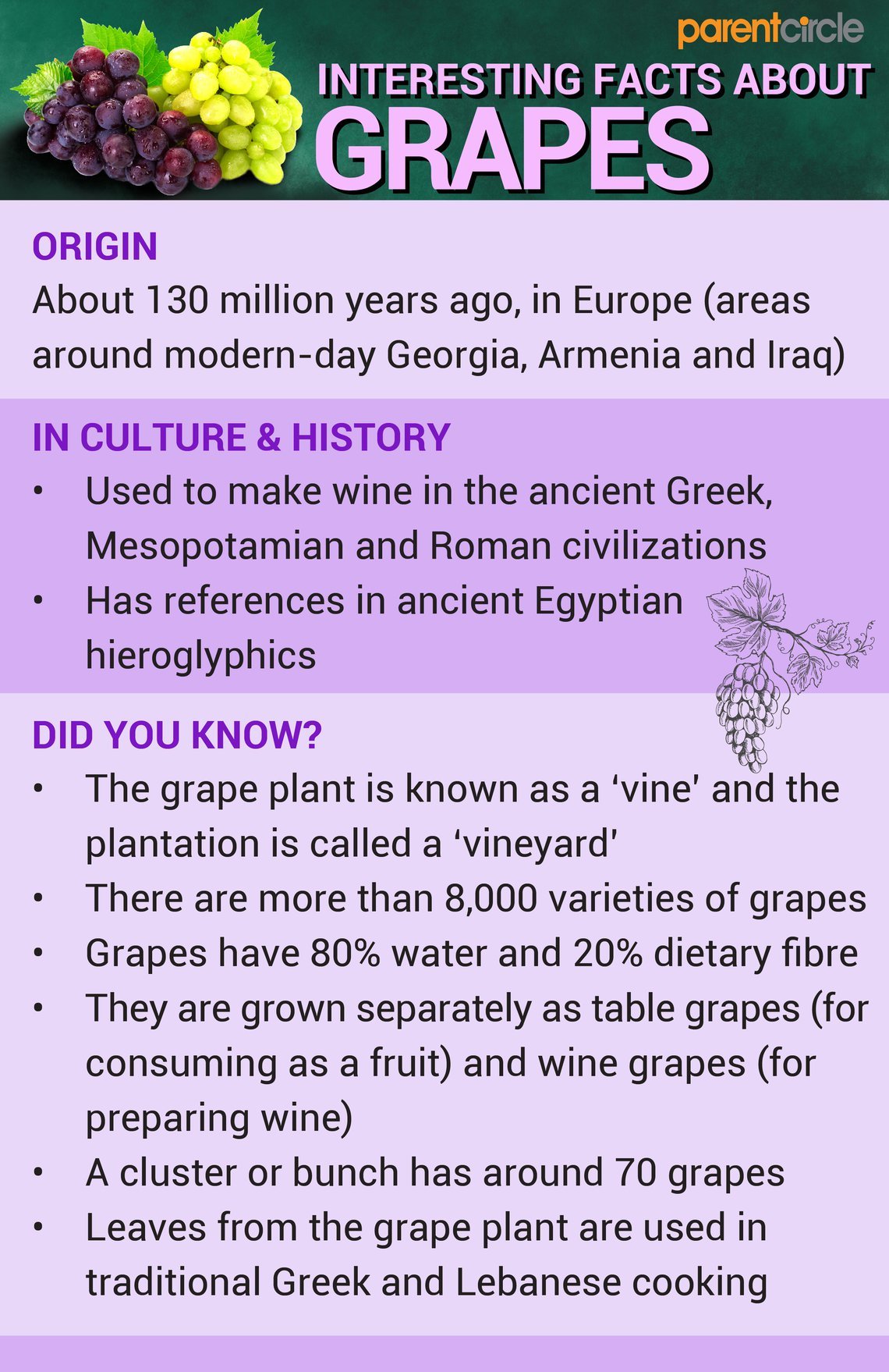 Health Benefits Of Eating Grapes