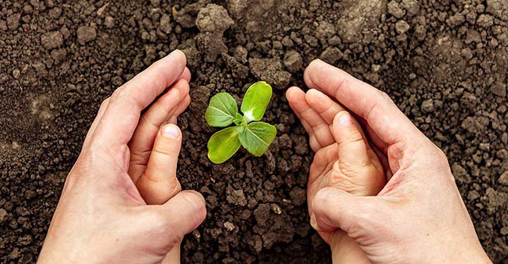 How Composting Can Help Your Child Connect With Nature How Composting Can Help Your Child Connect With Nature