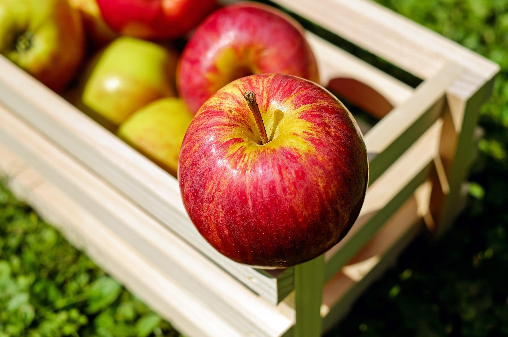 Top 5 Healthy Fruits For Your Toddler Top 5 Healthy Fruits For Your Toddler