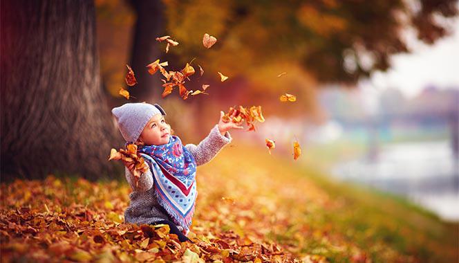 What Autumn Can Teach Your Child About Life, Change And New Beginnings What Autumn Can Teach Your Child About Life, Change And New Beginnings